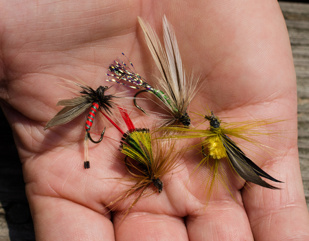 Tied flies, fly fishing bait.  Homemade handcrafted fishing tackle.  Bright colorful fish hooks.の写真素材