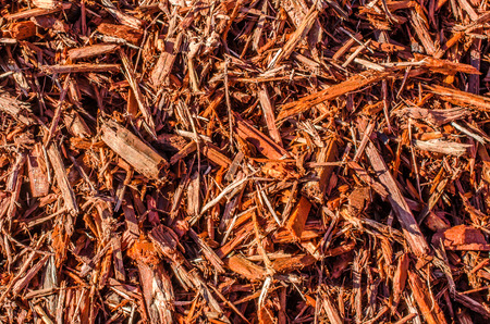 Wood bark, mulch, beauty bark.  Natural wood chips great for garden or landscape design.  Abstract background or backdrop.の写真素材