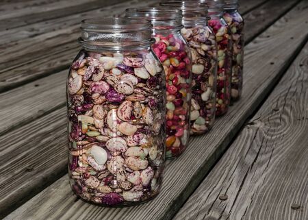 Homegrown beans and peas, ready to can. Fresh organic dry beans including butter bean, butter pea,...