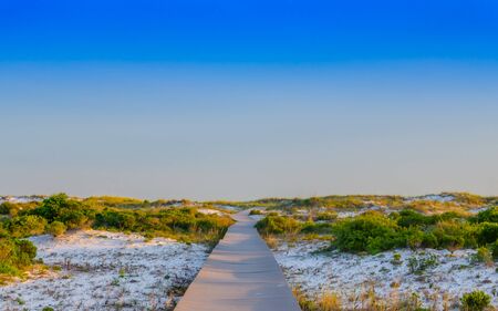 Walking path thru sand beach dunes and foliage, leading to ocean beach. Beautiful natural outdoor setting with blue skies. Relaxed vacation destination at tropical Gulf Coast.の写真素材