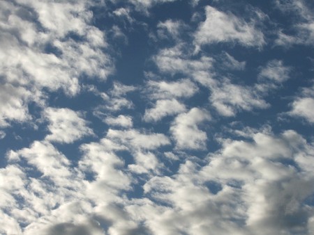 The blue sky