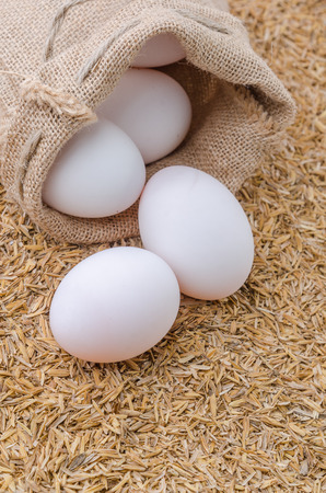 Raw white eggs of duck in burlap sack on rice husk backgroundの写真素材