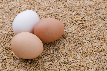 Shallow focus of raw eggs in burlap sack on rice husk backgroundの写真素材