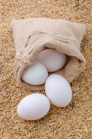 Raw white eggs of duck in burlap sack on rice husk backgroundの写真素材