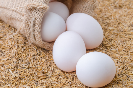 Raw white eggs of duck in burlap sack on rice husk backgroundの写真素材