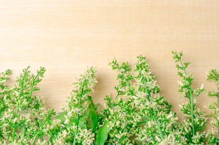Tender medical neem leaves and flower on wood backgroundの写真素材