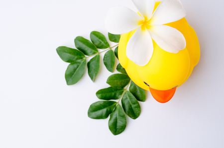 Yellow duck toy with white backgroundの写真素材