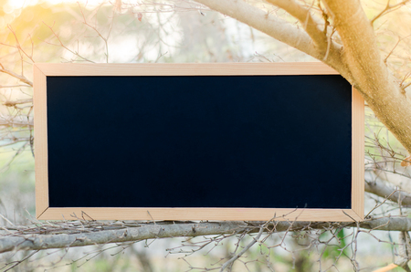 Blank chalkboard on tree branch with nature light backgroundの写真素材
