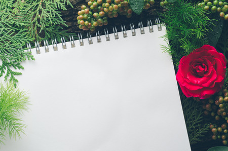 Blank notebook with rose flower on natural green leaves background. Tropical style.の写真素材
