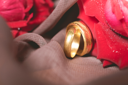 Gold wedding rings with red roses background. Engagement concept.の写真素材