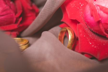 Gold wedding rings with red roses background. Engagement concept.の写真素材