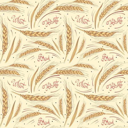 Seamless pattern with pictures of ripe wheat ears, and the words "bread", "harvest", "wheat" on background.のイラスト素材