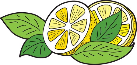 Illustration of cut lemons with leavesのイラスト素材