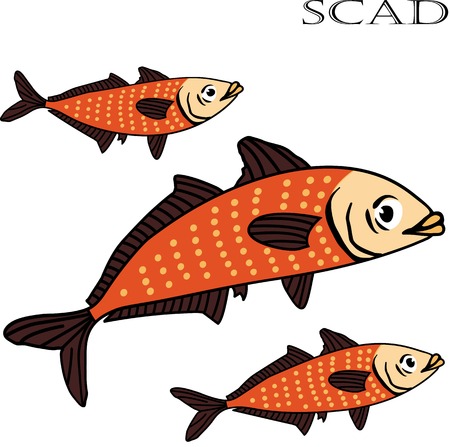 Scad fish color cartoon vector illustration. Isolated scad fishes on white background.