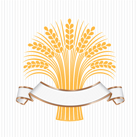White elegant banner with a few ripe wheat ears. Vector decorative element, brand icon or logo template.のイラスト素材