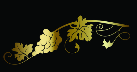 Gold grape wine branch on black background vector illustration. Wine theme design decorative element.のイラスト素材