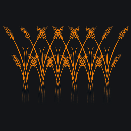 Gold ripe wheat ears for borderのイラスト素材
