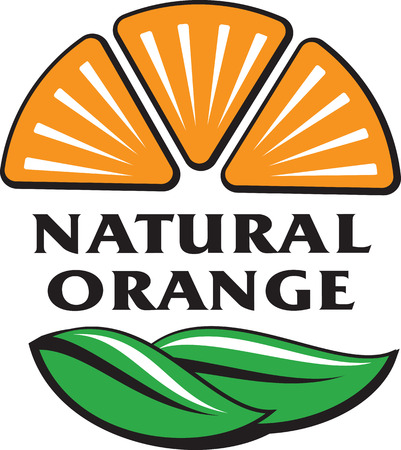 Orange fruit slices with green leavesのイラスト素材