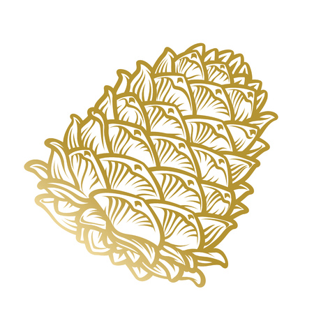 Gold pine cone isolated on white background hand drawn illustration in engraving style.のイラスト素材
