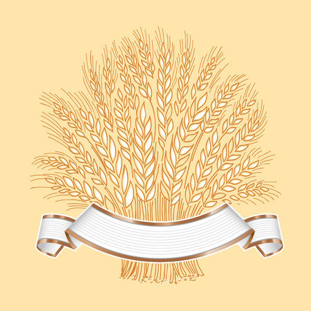 Hand drawn wheat sheaf on white background with white banner banner or logo template.のイラスト素材