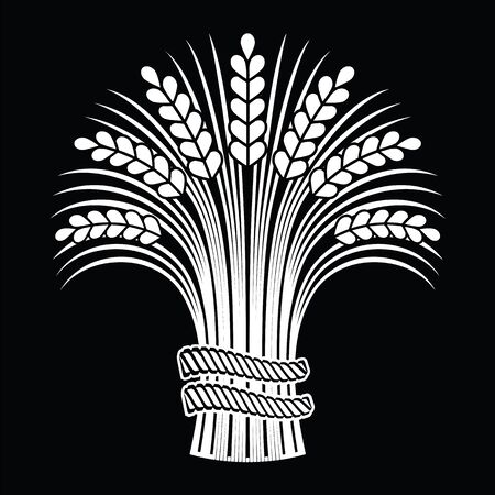 Ripe wheat ears sheaf on black background. Vector illustration, can be used as frame, corner or border element.のイラスト素材