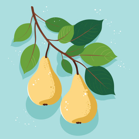 Branch of pear tree. Flat vector contour illustration.のイラスト素材