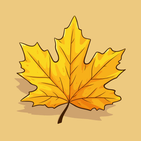 Autumn Yellow Maple Leaf isolated, Illustration Vectorのイラスト素材