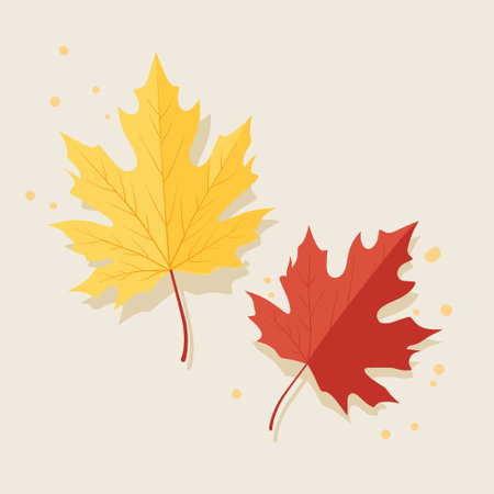Autumn Maple Red and Yellow Leaves isolated, Illustration Vectorのイラスト素材