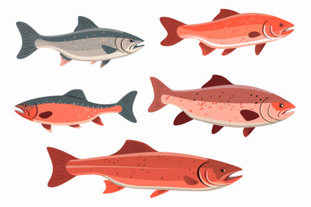 Cartoon Style Salmon Fish Vector Illustrationのイラスト素材