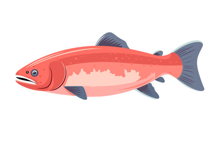 Cartoon Style Salmon Fish Vector Illustrationのイラスト素材