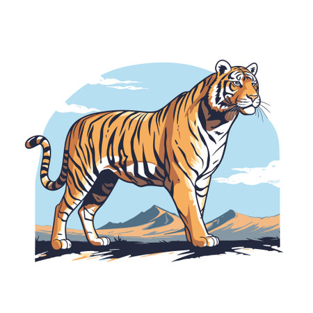 Vector giant tiger. Tiger drawing full bodyのイラスト素材