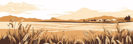 Warm evening rural countryside landscape with wheat fields, vector panorama illustration, agriculture sceneのイラスト素材