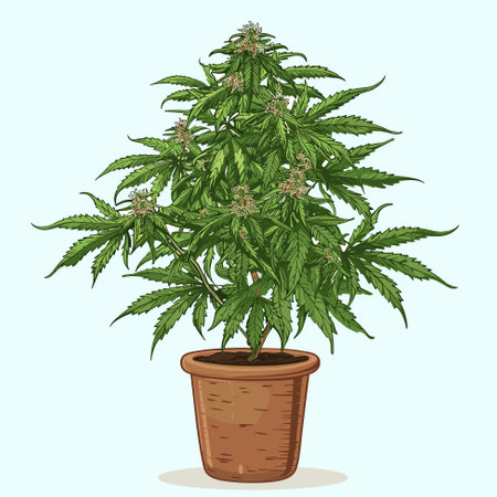 Bush of marijuana. Hemp for the treatment of marijuana oil. Cannabis Cannabinoid. Vector illustrationのイラスト素材