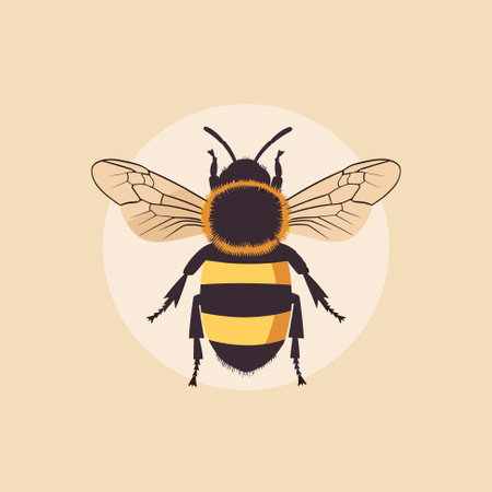 Vector illustration of honey bee on neutral backgroundのイラスト素材