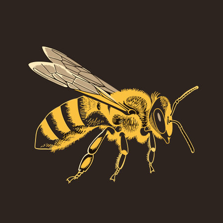 Vector illustration of honey bee on neutral backgroundのイラスト素材