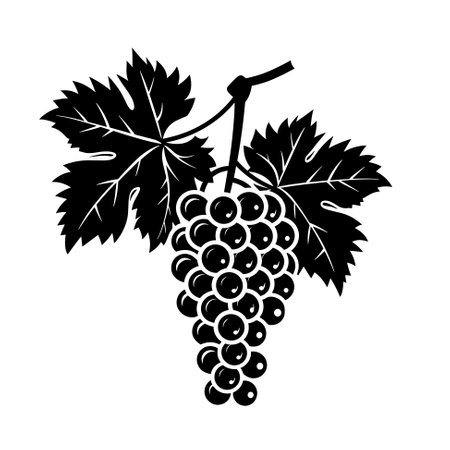 Grape branch isolated on white background. Hand drawn vector illustrationのイラスト素材