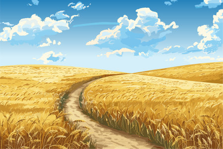 Path through fields of ripe wheat, blue sky. Agriculture. Vector summer landscapeのイラスト素材