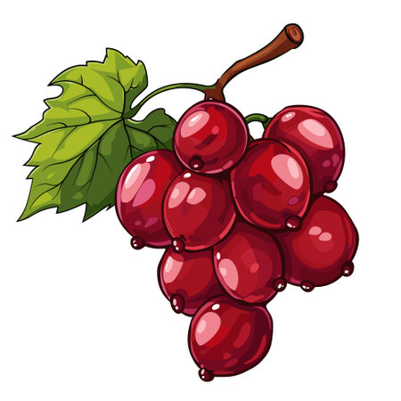 Vector grape iconのイラスト素材