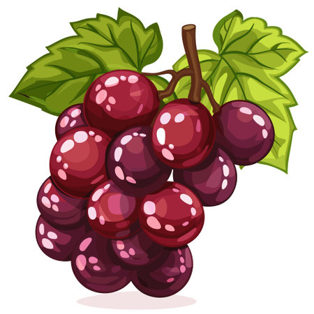 Vector grape iconのイラスト素材
