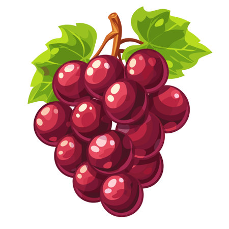 Vector grape iconのイラスト素材