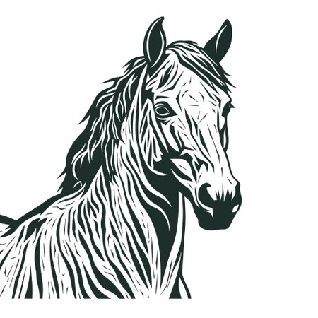 Beautiful Black And White Horse Head Silhouette, vector icon illustrationのイラスト素材