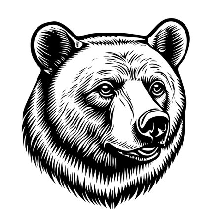 Big brown bear mascotのイラスト素材