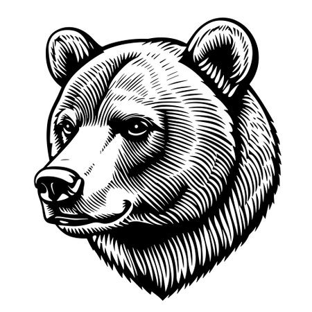 Big brown bear mascotのイラスト素材