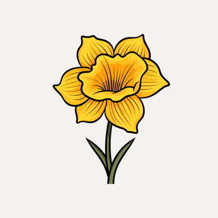 Daffodil flower with leaves drawing. Vector hand drawn floral object. Great for tattoos, invitations, greeting cards, decorのイラスト素材