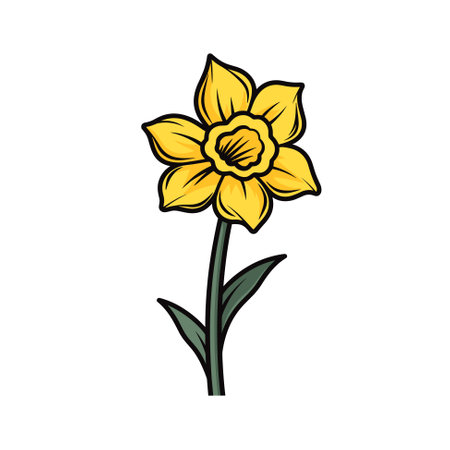 Daffodil flower with leaves drawing. Vector hand drawn floral object. Great for tattoos, invitations, greeting cards, decorのイラスト素材