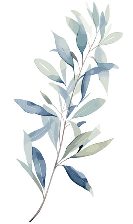 Weeping willow branch and leaves vector illustration in watercolor style on white backgroundのイラスト素材