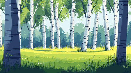 Birch grove. Panoramic landscape of a birch forest in summer. Vector illustration.のイラスト素材