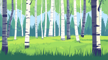 Birch grove. Panoramic landscape of a birch forest in summer. Vector illustration.のイラスト素材