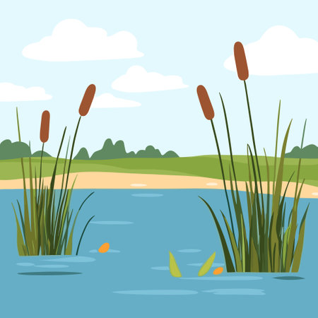 Swamp pond landscape with reed and cattail. Overgrown pond shore. Vectorのイラスト素材