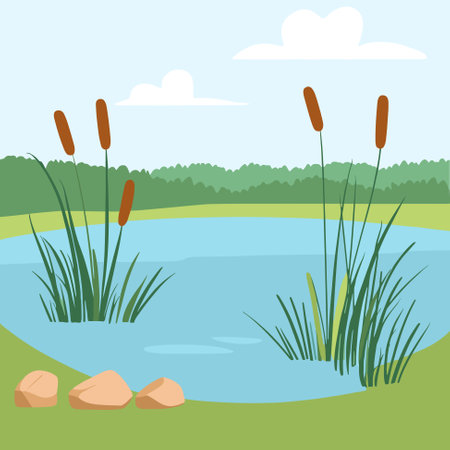 Swamp pond landscape with reed and cattail. Overgrown pond shore. Vectorのイラスト素材
